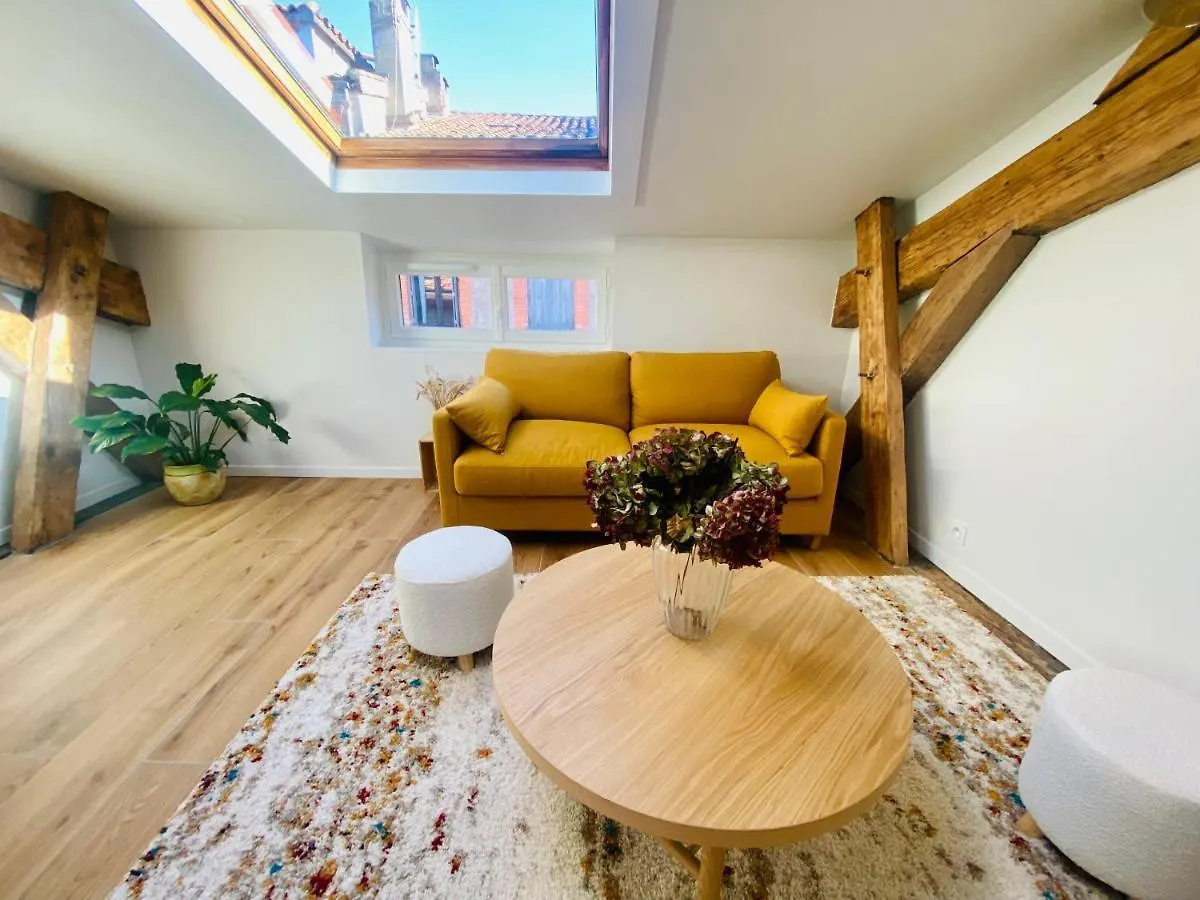Lägenhet L'Hortensia Saint Aubin Toulouse